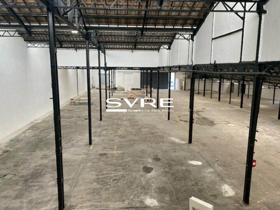 002010147_13_001668_4